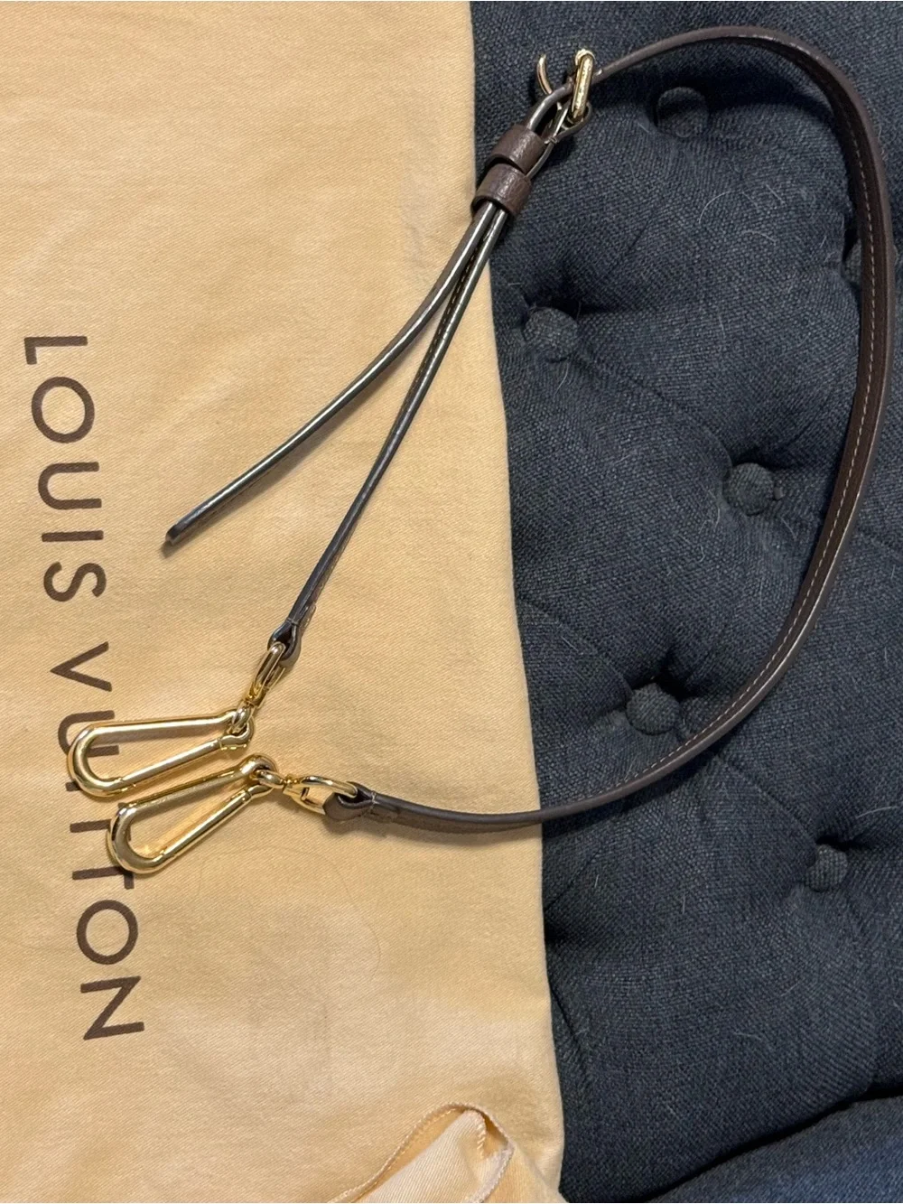 Louis Vuitton lv lumineuse